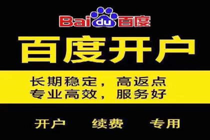 电商SEM推广案例解析